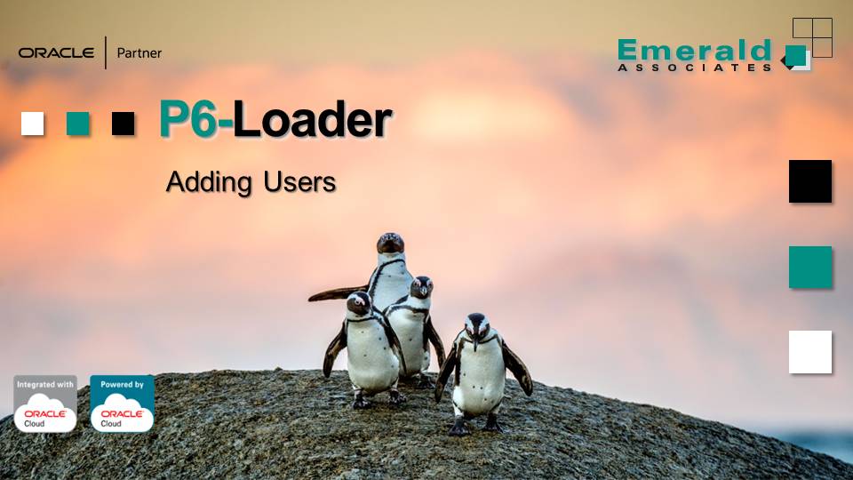 Easier User Administration in P6 for LDAP and SSO - Adding Users with P6-Loader Webinar - 2025-10-16